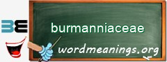 WordMeaning blackboard for burmanniaceae